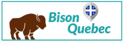 logo-Bison Quebec