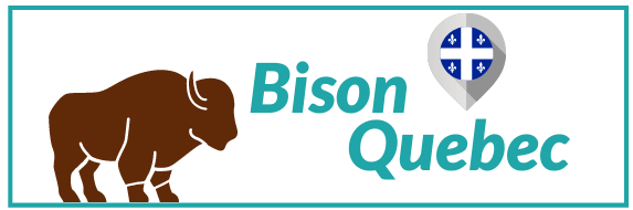 logo-Bison Quebec